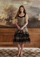 Lace mesh midi dress with fitted bodice, dark lace neckline trim, and tiered skirt