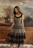 Black Lace Mesh Elegance Dress